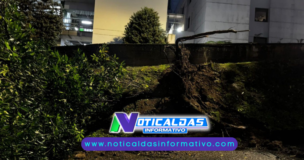 Diseño sin título (5)